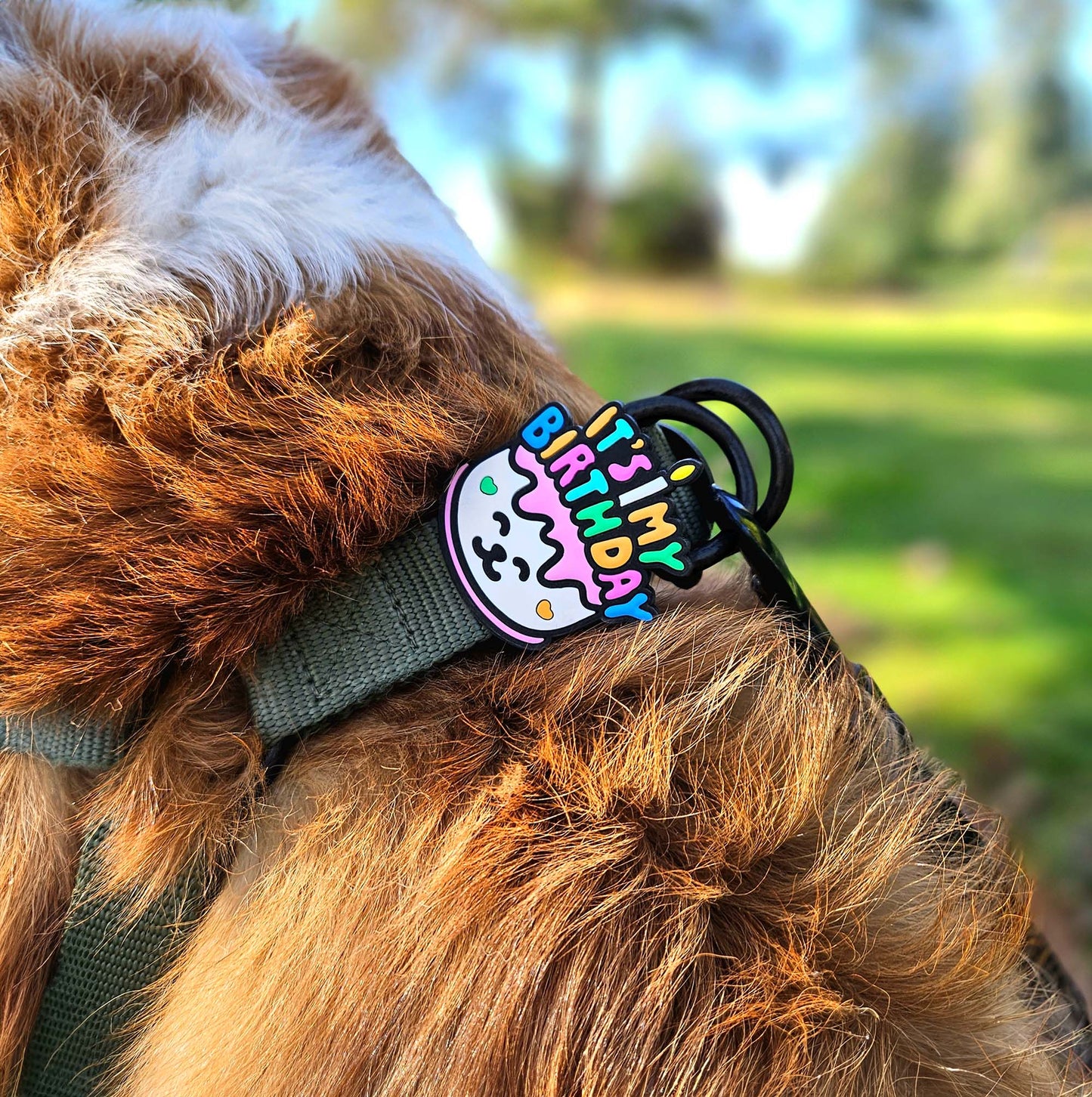 Birthday Jiby Dog Charm