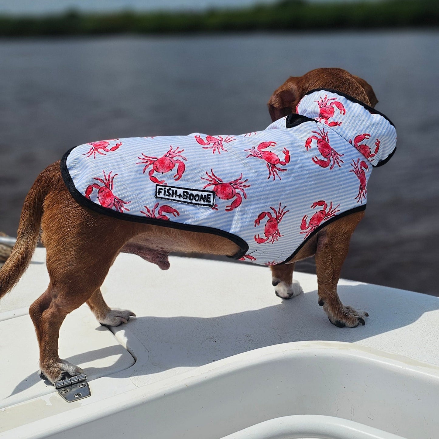 Lowcountry Proper Dog Coat - Doot's Pet LLC Collars For A Cause