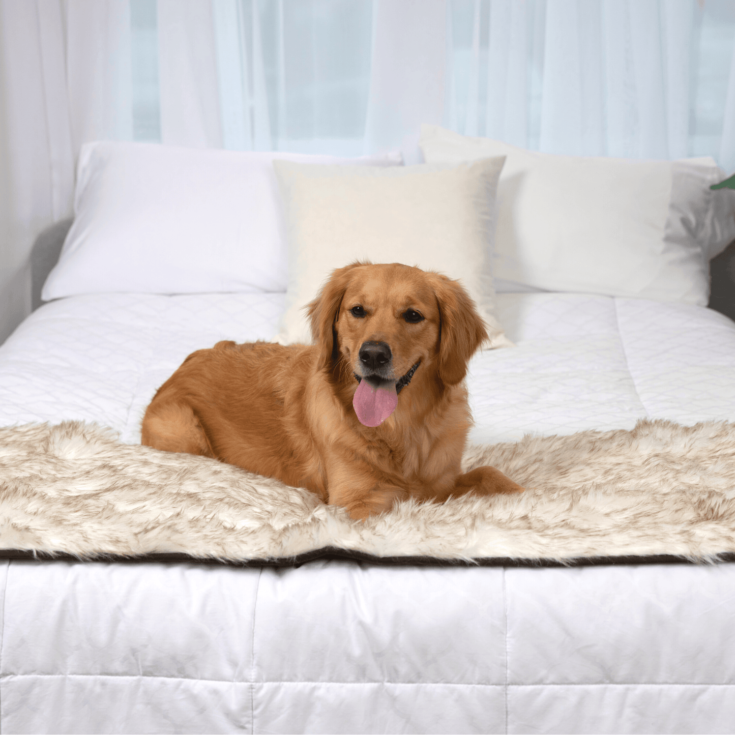 PupProtector™ Waterproof Bed Runner - White with Brown Accents - Doot's Pet LLC Collars For A Cause