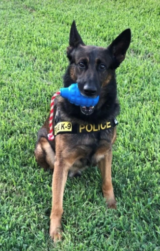 SodaPup - USA-K9 Grenade - Chew Toy - Reward Toy - Blue - Blue / XL