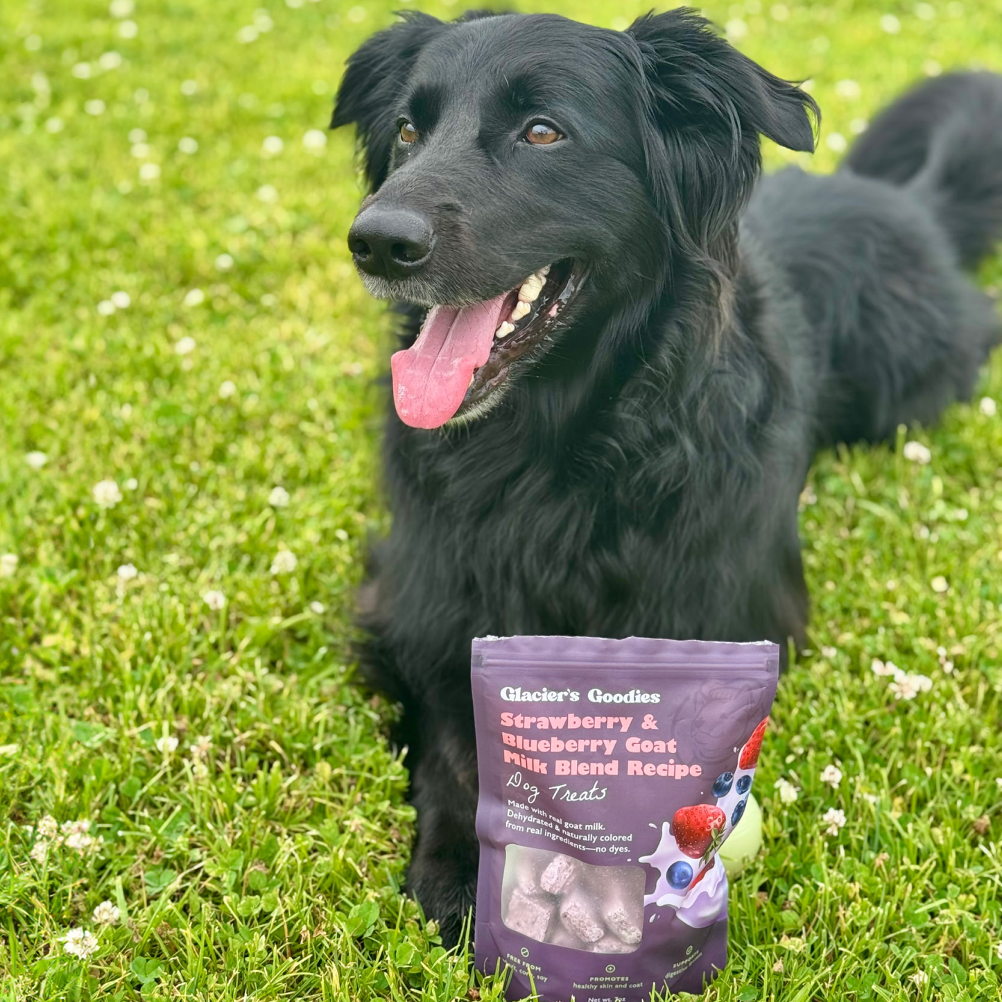 Glacier's Goodies - Goat Milk Dog Treats – Banana & Peanut (7oz)