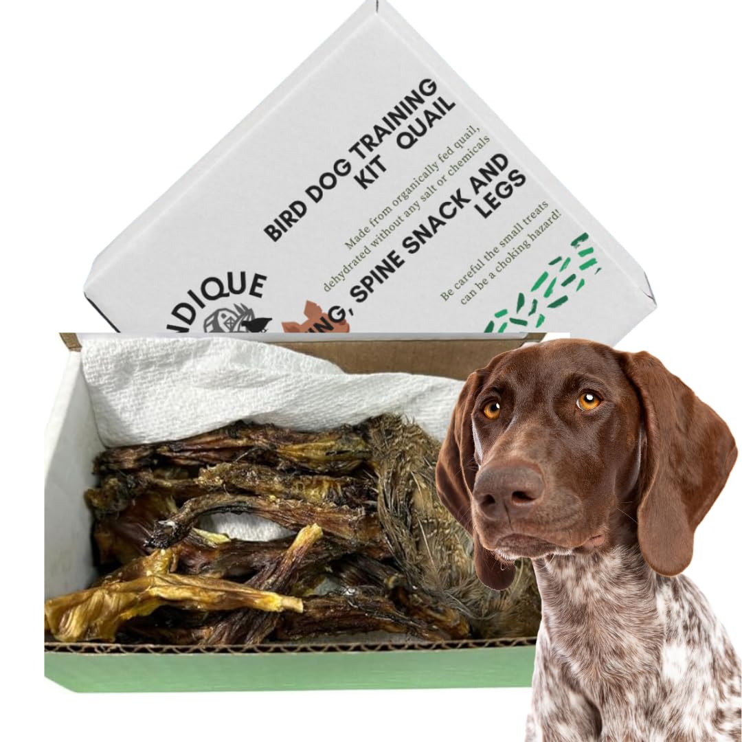 Quail Wing Dog Training Kit - Nutritious Dog Treats and Quail Wing for Effective Dog Training Sessions - Reinforce Positive Behaviors with Training Treats - Not Suitable for Small Breeds - Doot's Pet LLC Collars For A Cause