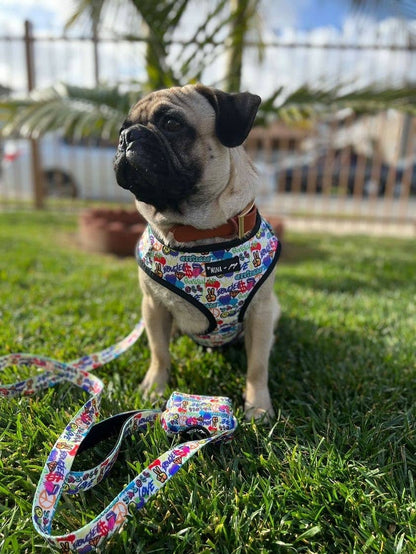 Mina + Pup - Attitude Collection Graffiti Comfort Dog and Cat Leash 5 FT