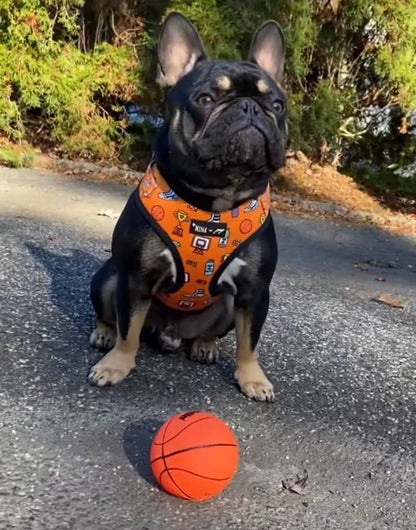 Mina + Pup - Got Game? Basketball and Sports Adjustable Dog Cat Harness