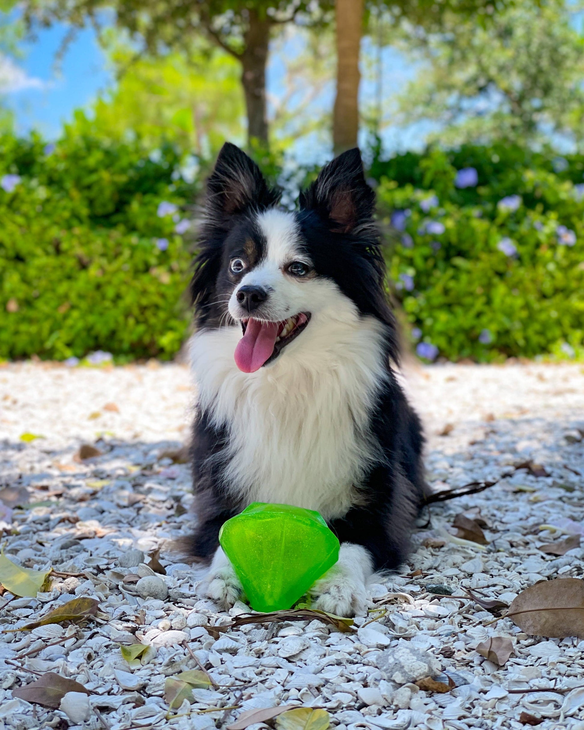 Spunky Pup - Squeaky Gems! - Diamond - Doot's Pet LLC Collars For A Cause