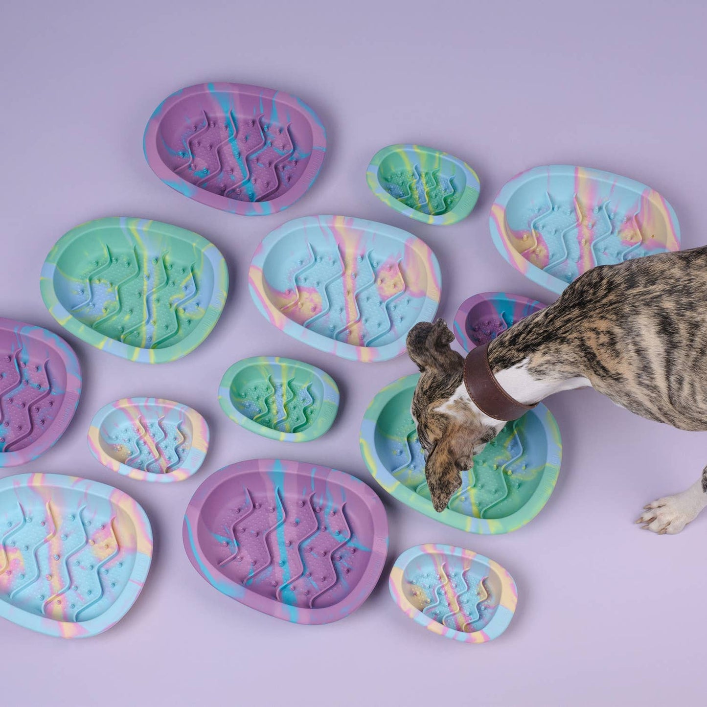 CHEWFFON - CHEWFFON Interactive Dog Lick Bowl-Rainbow Small