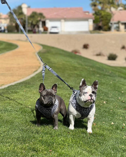 Mina + Pup - YOU'RE SO GLAM LEASH SPLITTER: WALK 2 dogs with 1 leash!