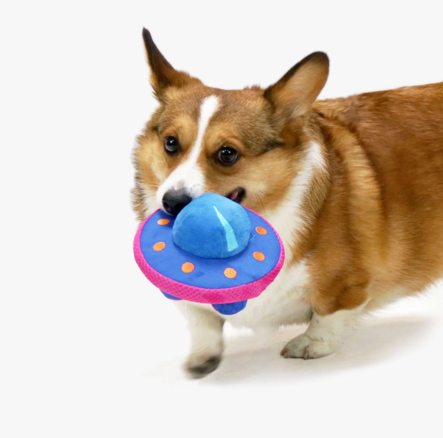 Hugsmart Products Inc - HugSmart Pet - Space Paws | UFO - Dog Plush Toy