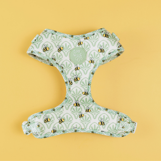 Little Honey Adjustable Harness