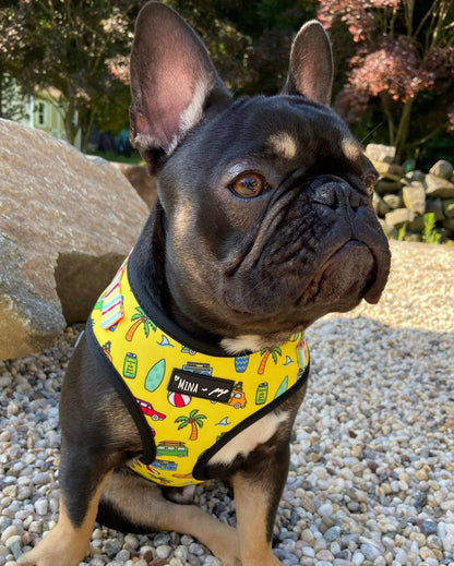 Mina + Pup - The Beach Bum Adjustable Dog or Cat Harness