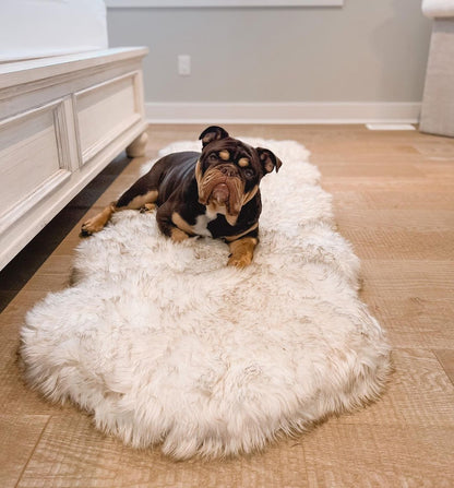 PupRug® Runner Faux Fur Memory Foam Dog Bed - Curve White with Brown Accents - Doot's Pet LLC Collars For A Cause
