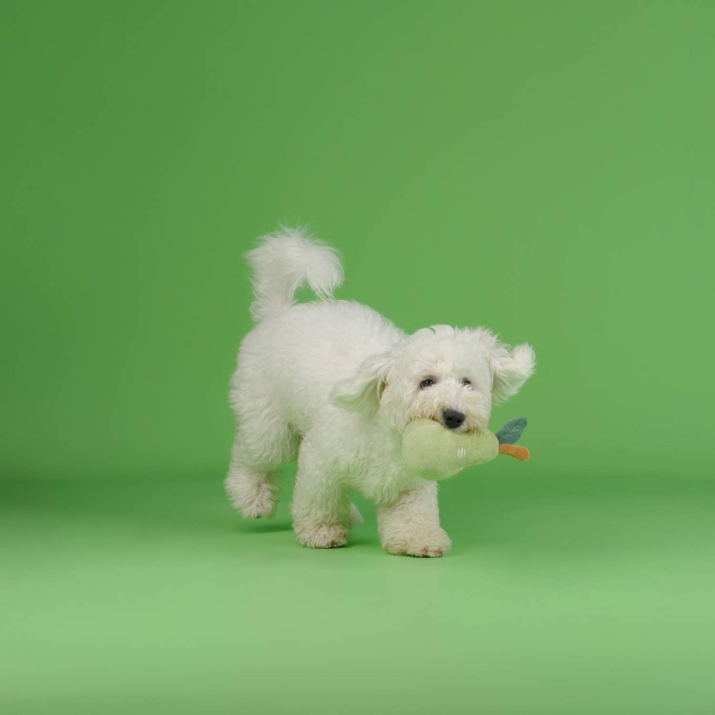 CHEWFFON - CHEWFFON Fruit Plush Squeaky Dog Toy Set – Strawberry, Lemon