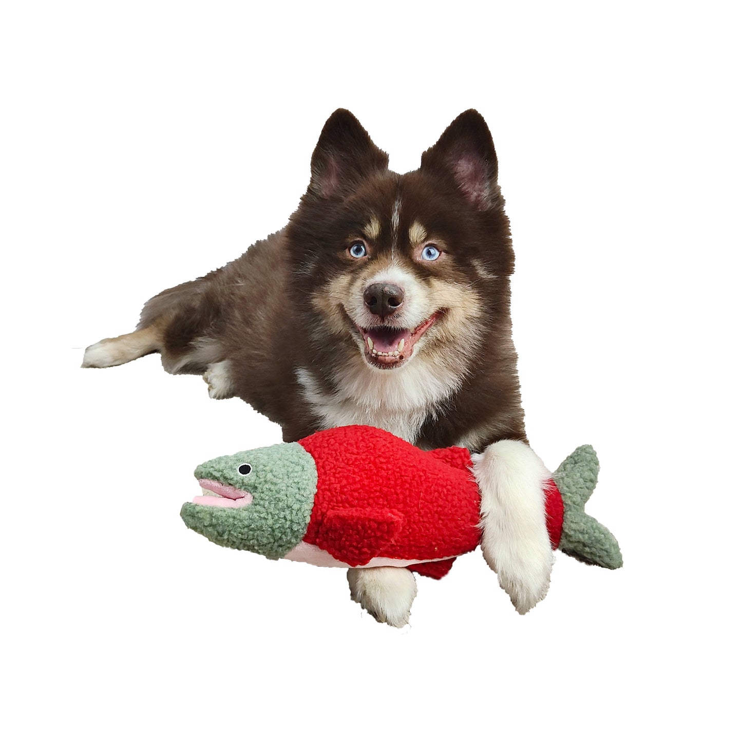 Barker's Bowtique - Seymour the Salmon Fleece Dog Toy