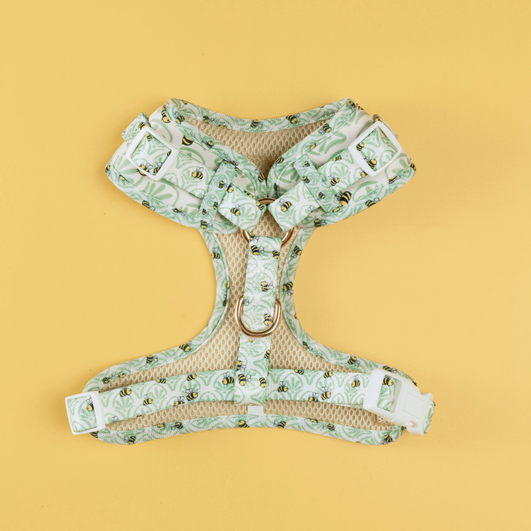 Little Honey Adjustable Harness