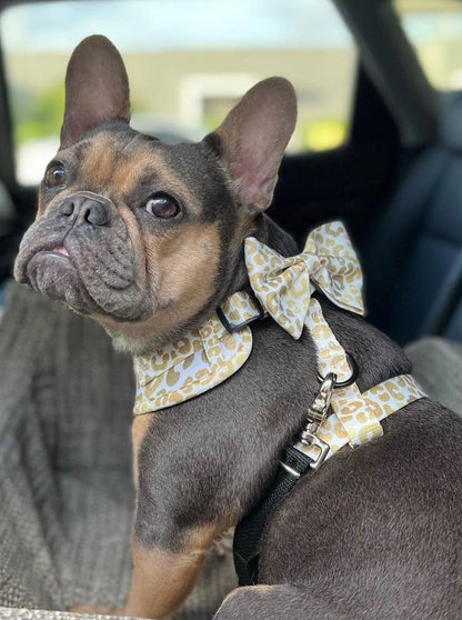 Mina + Pup - You're So Golden Adjustable Harness NOW IN XXS TOO