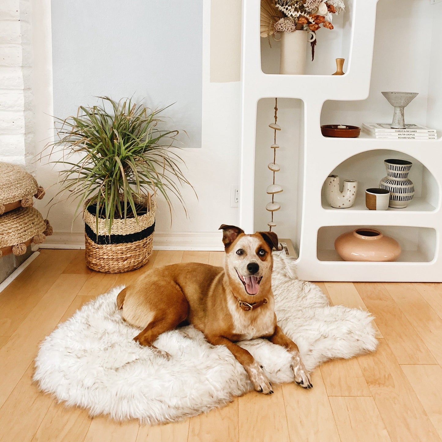 PupRug by Paw.com® Faux Fur Orthopedic Dog Bed - Curve White with Brown Accents - Doot's Pet LLC Collars For A Cause