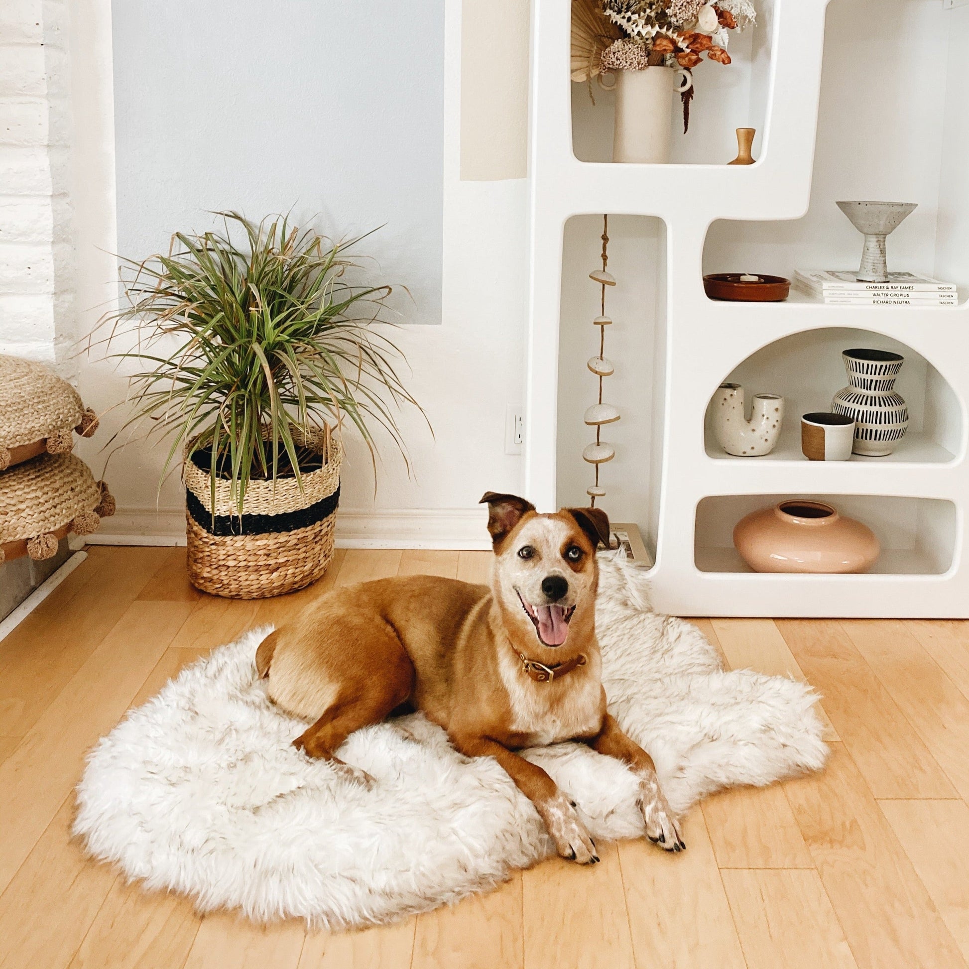 PupRug by Paw.com® Faux Fur Orthopedic Dog Bed - Curve White with Brown Accents - Doot's Pet LLC Collars For A Cause