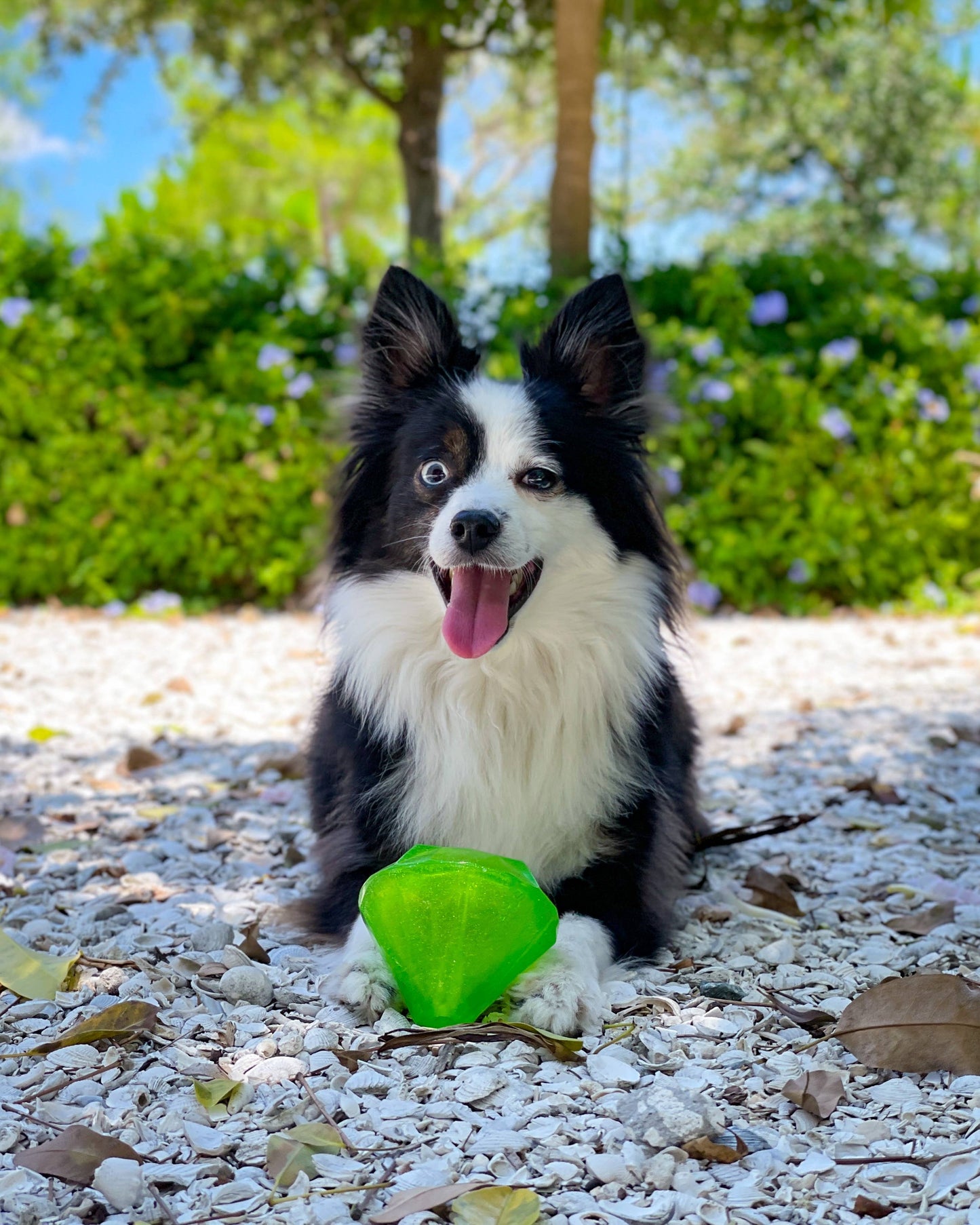 Spunky Pup - Squeaky Gems! - Diamond - Doot's Pet LLC Collars For A Cause