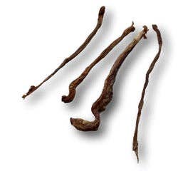 Doot's Chew Bar - Lamb Pizzel - Single