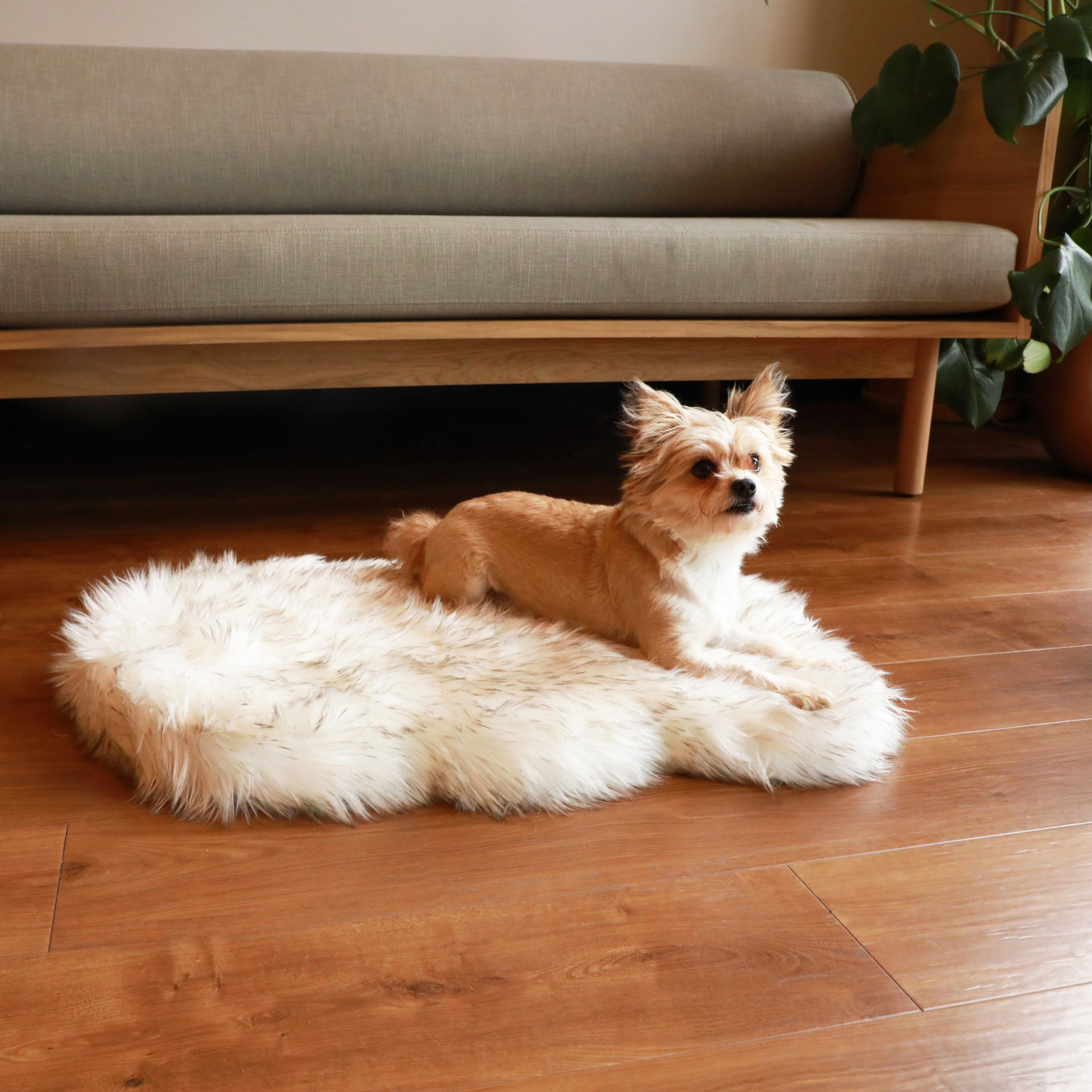 PupRug by Paw.com® Faux Fur Orthopedic Dog Bed - Curve White with Brown Accents - Doot's Pet LLC Collars For A Cause