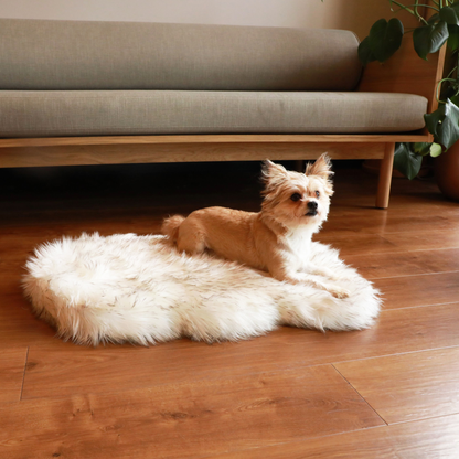 PupRug by Paw.com® Faux Fur Orthopedic Dog Bed - Curve White with Brown Accents - Doot's Pet LLC Collars For A Cause