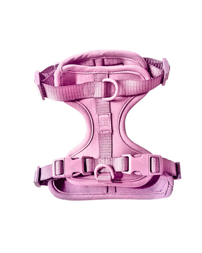 Come Here Buddy Harness