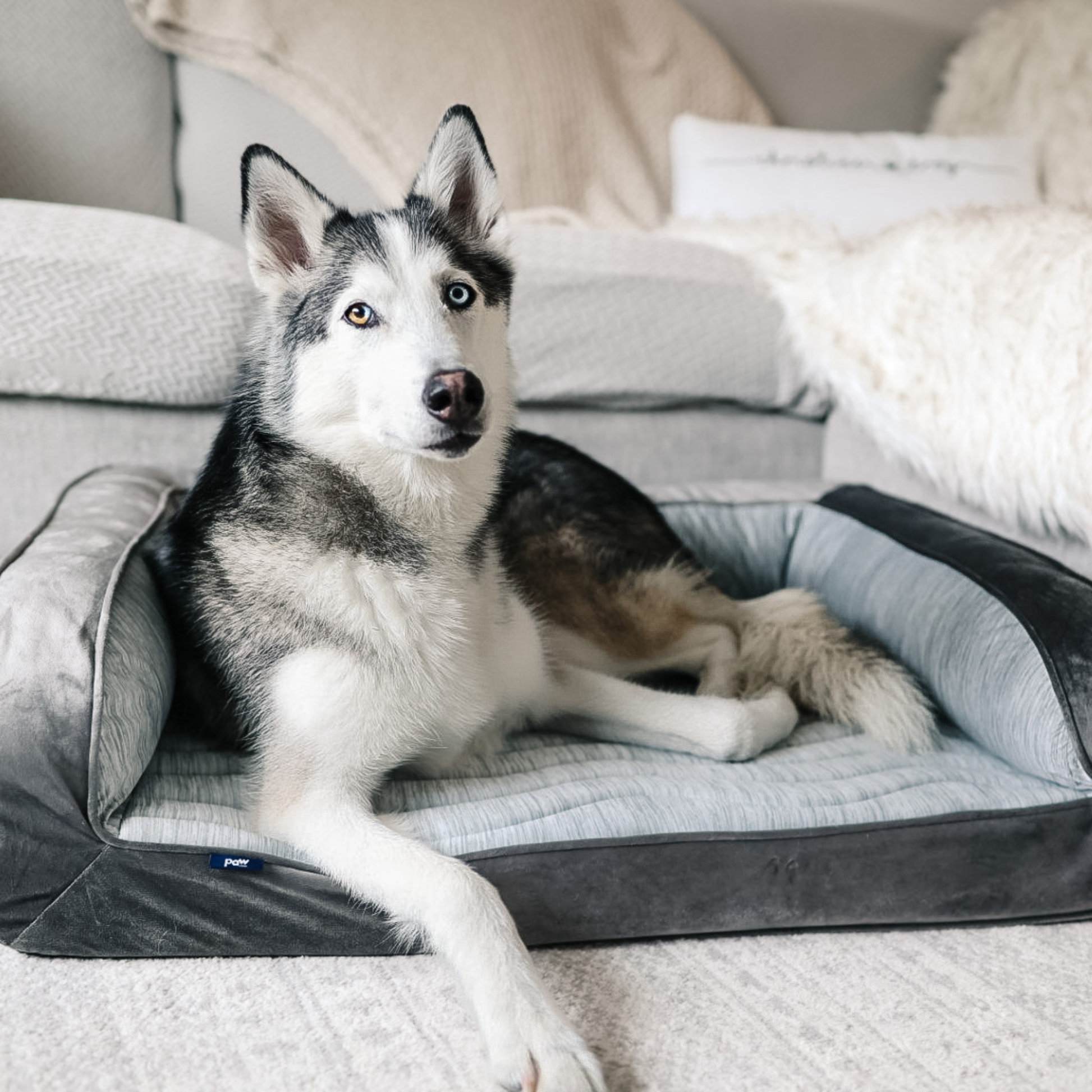PupChill™ Cooling Bolster Dog Bed + Waterproof Blanket Bundle - Arctic Grey - Doot's Pet LLC Collars For A Cause