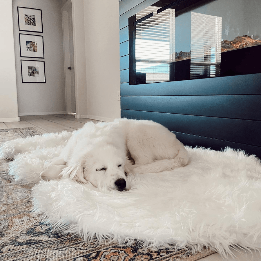 PupRug by Paw.com® Faux Fur Orthopedic Dog Bed - Curve Polar White - Doot's Pet LLC Collars For A Cause