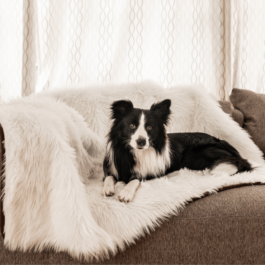 PupProtector™ Waterproof Throw Blanket - Polar White - Doot's Pet LLC Collars For A Cause