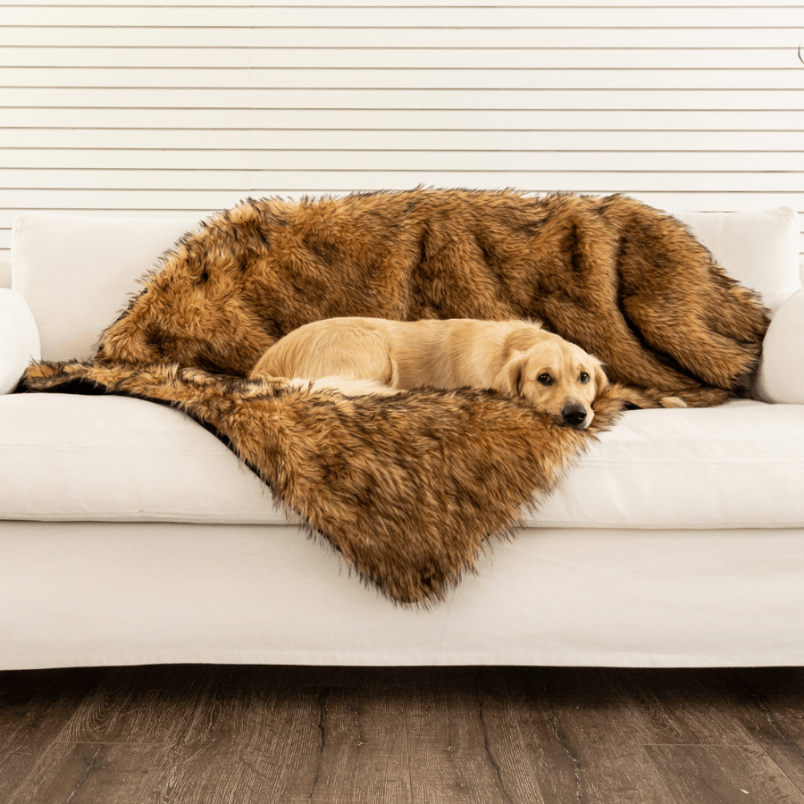 PupProtector™ Waterproof Throw Blanket - Sable Tan - Doot's Pet LLC Collars For A Cause