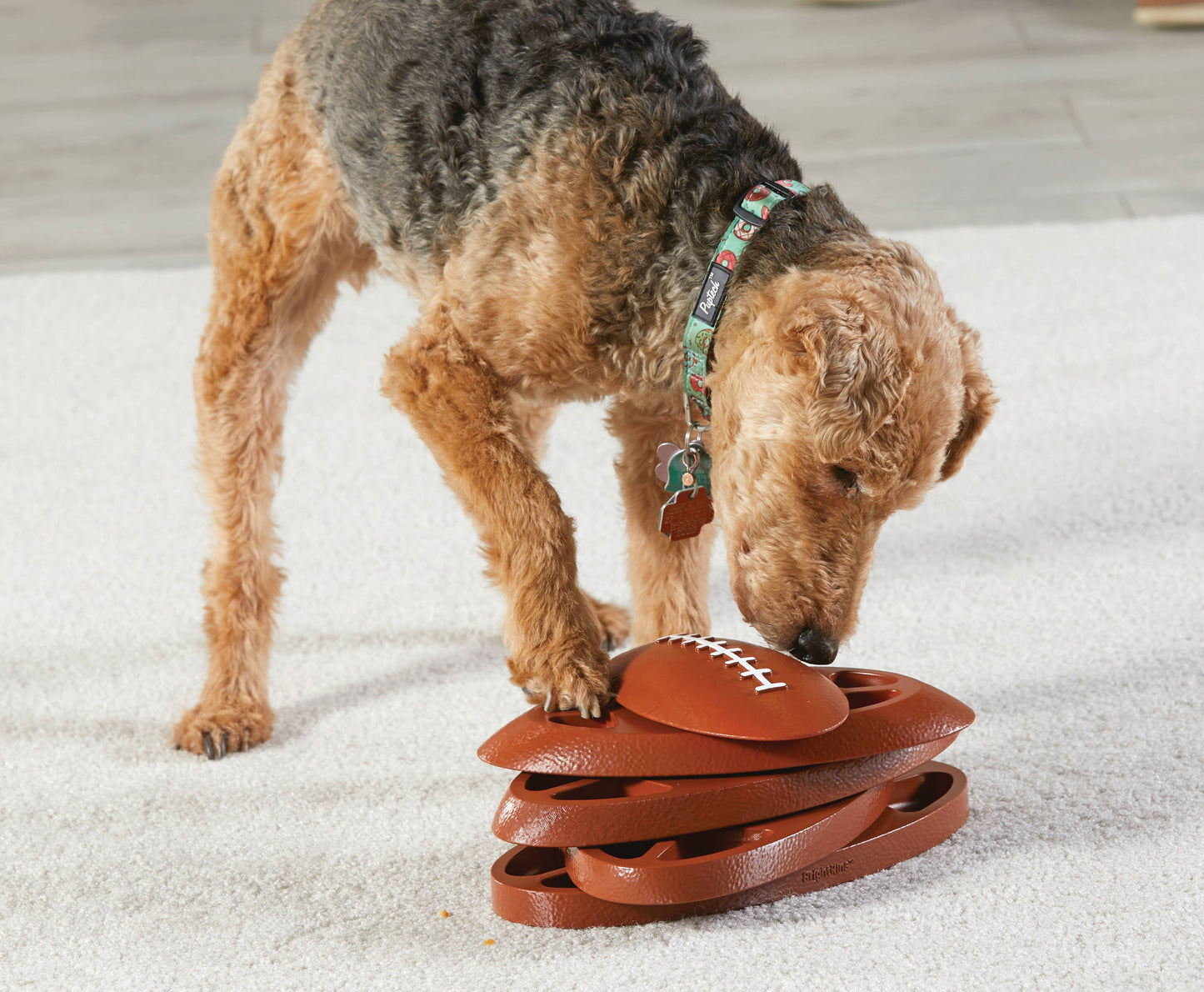 Hunger for Words and Brightkins - Brightkins™ Football Treat Puzzle