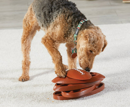 Hunger for Words and Brightkins - Brightkins™ Football Treat Puzzle