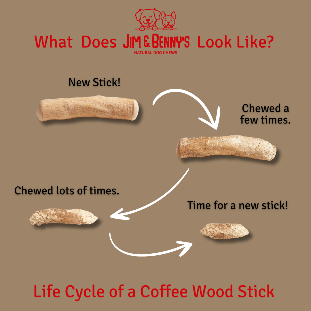 Doot's Chew Bar - Jim and Benny's - Coffee Wood Chews for Dogs