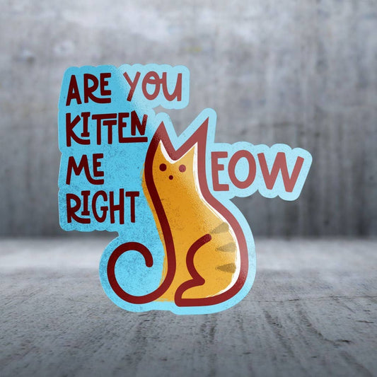 Two Feet Treats - Are You Kitten Me Right Meow - Sticker