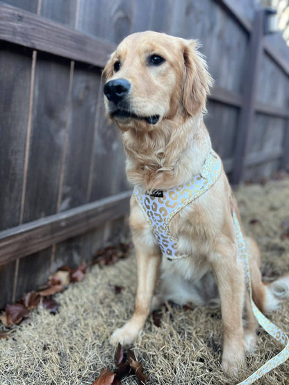 Mina + Pup - You're So Golden Adjustable Harness NOW IN XXS TOO