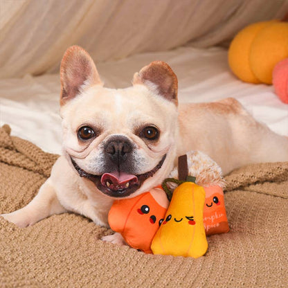 Hugsmart Products Inc - HugSmart Pet - Autumn Tailz  | Pumpkin Play - Dog Plush Toy