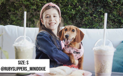 Mina + Pup - Pink Pupshake Adjustable Dog or Cat Harness