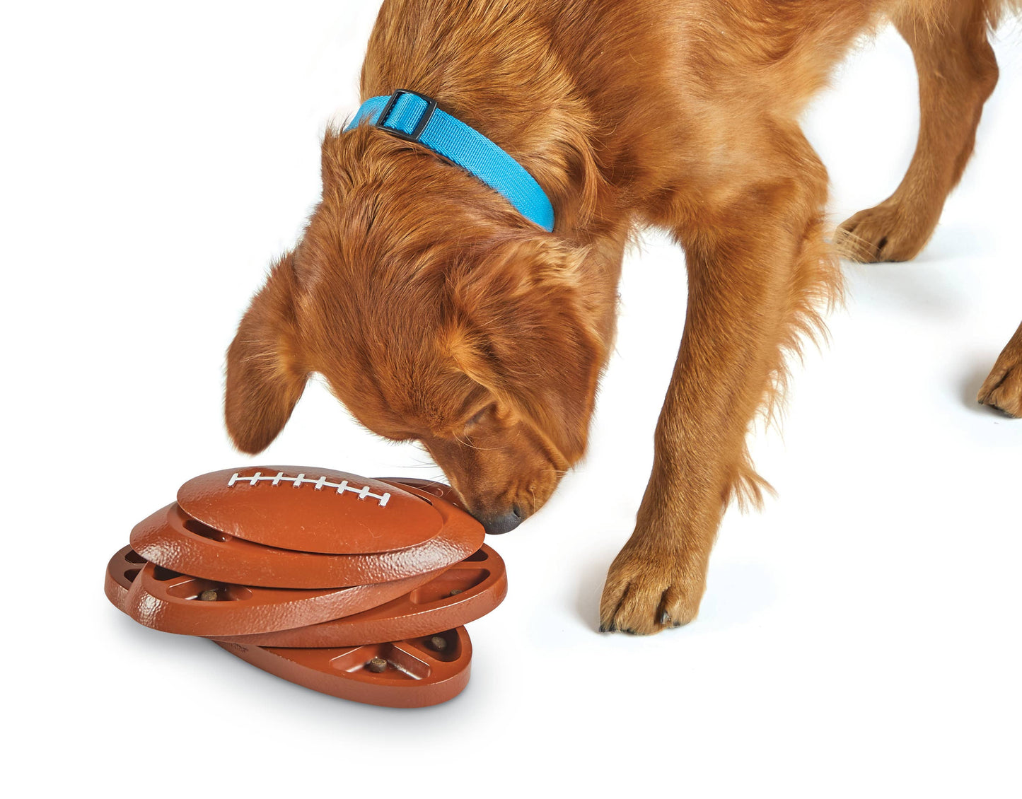 Hunger for Words and Brightkins - Brightkins™ Football Treat Puzzle