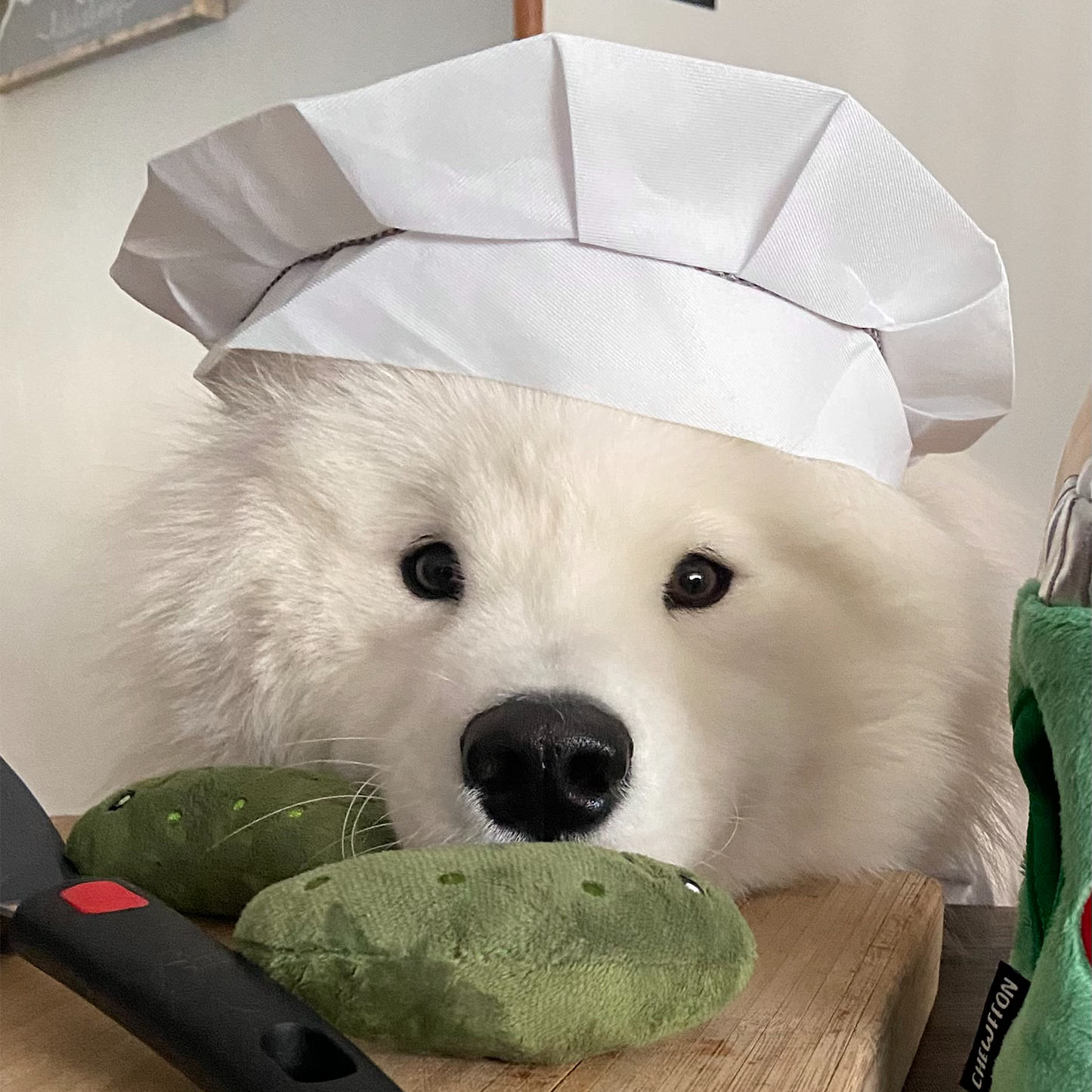 CHEWFFON - CHEWFFON Pickle Jar Hide & Seek Dog Toy