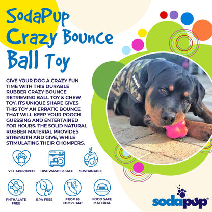 Crazy Bounce Ultra Durable Rubber Chew & Retrieving Toy - Doot's Pet LLC Collars For A Cause