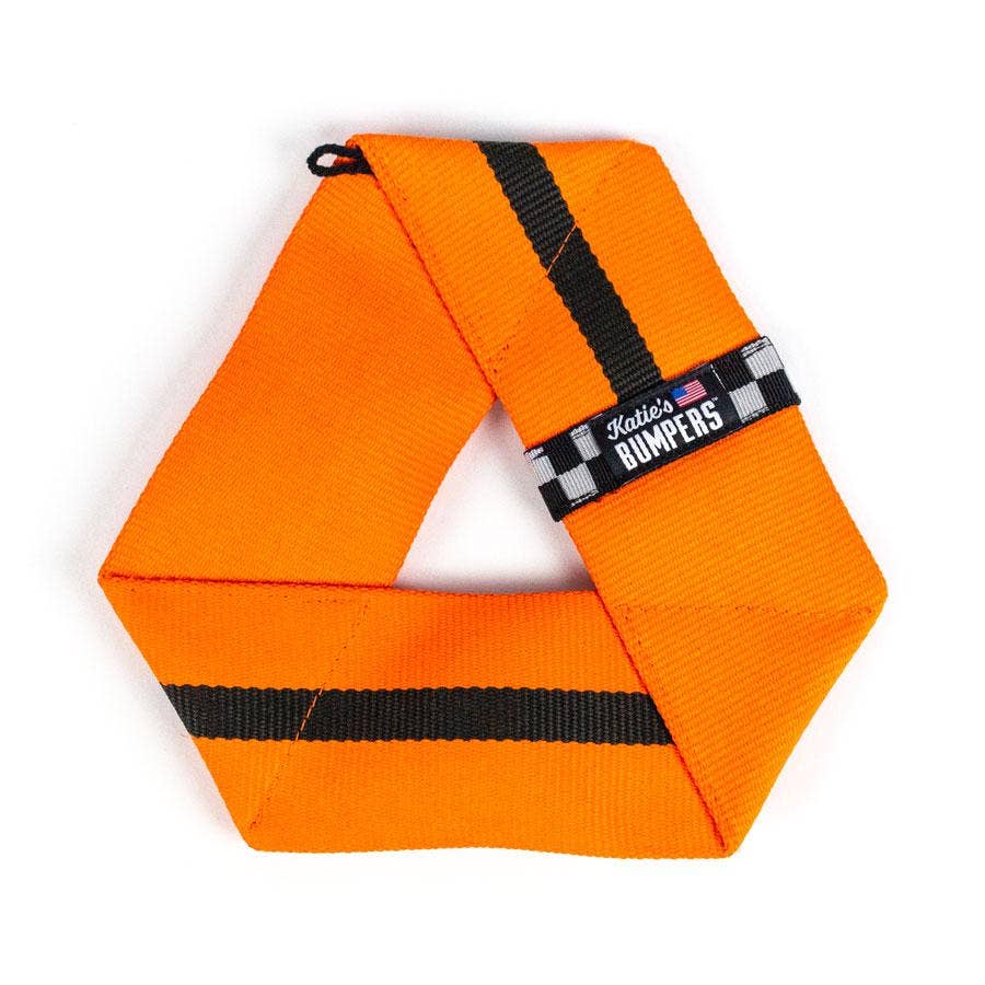 Katie's Bumpers - Best KB Frequent Flyer Triangle Fetch Toy For Dogs