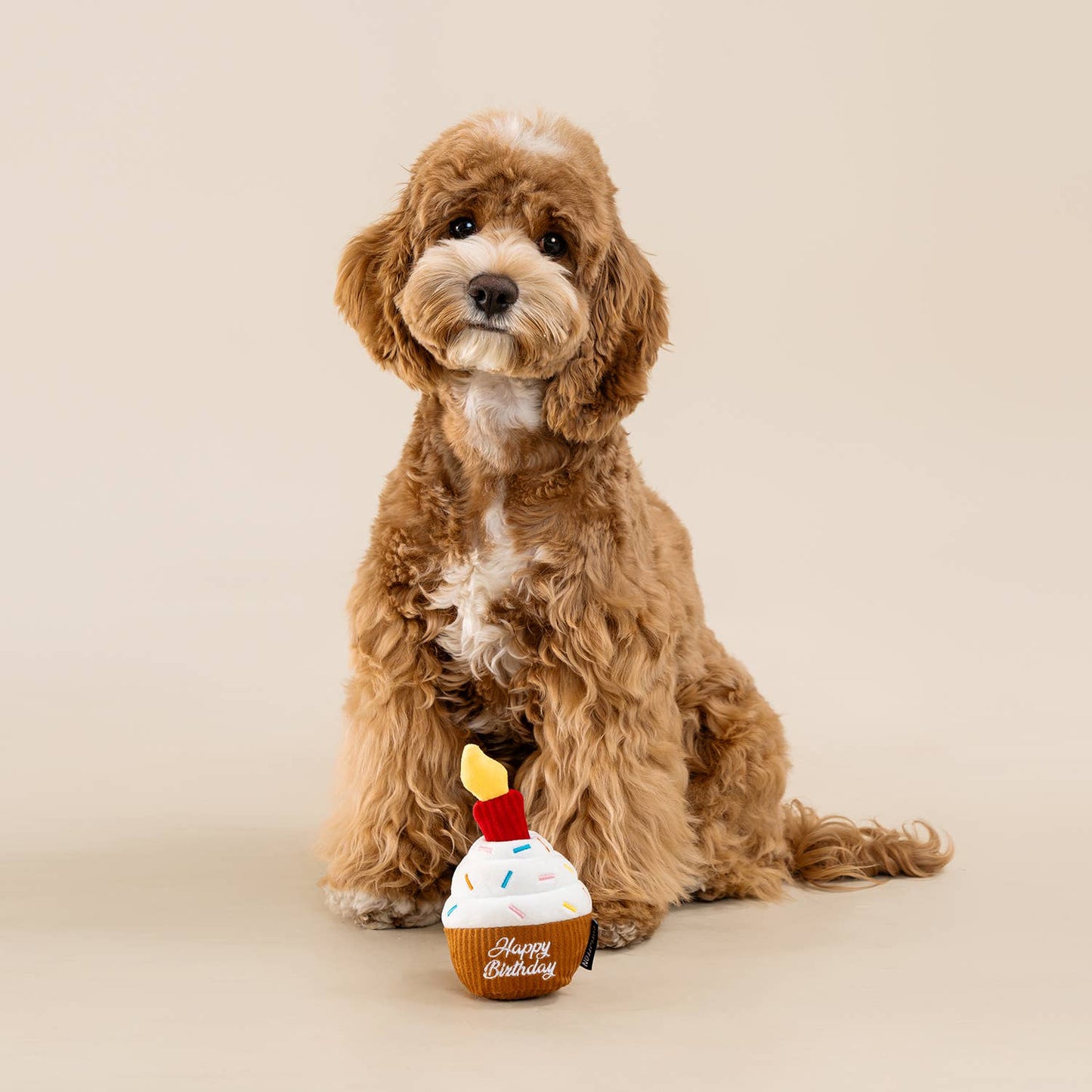 CHEWFFON - CHEWFFON Cupcake Dog Toy Interactive Squeaky Birthday Treat - Doot's Pet LLC Collars For A Cause