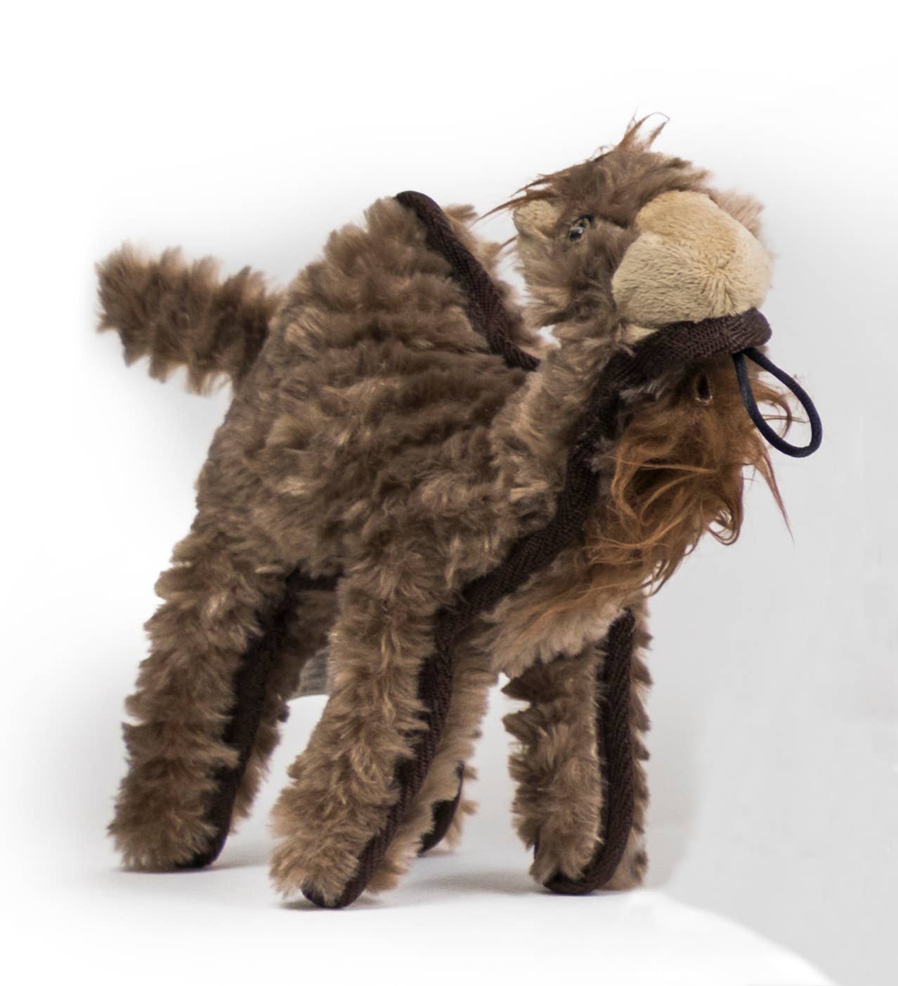Steel Dog USA LLC -  SM/MD Ruffian Hoofer Camel - Doot's Pet LLC Collars For A Cause