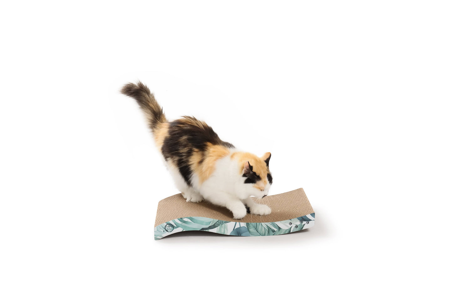 MOON-X USA, INC. - Ripple Reversible Scratcher (Go Green)