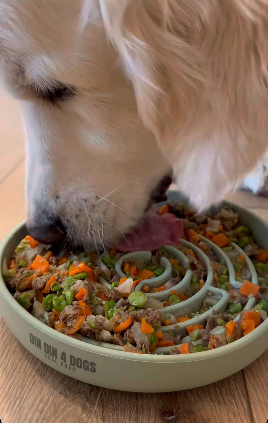 Bountiful Beef - case includes 24, 8oz meals - Doot's Pet LLC Collars For A Cause