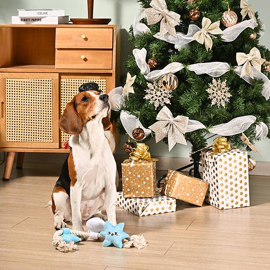 Hugsmart Products Inc - HugSmart Pet - Happy Woofmas | Snowman Season