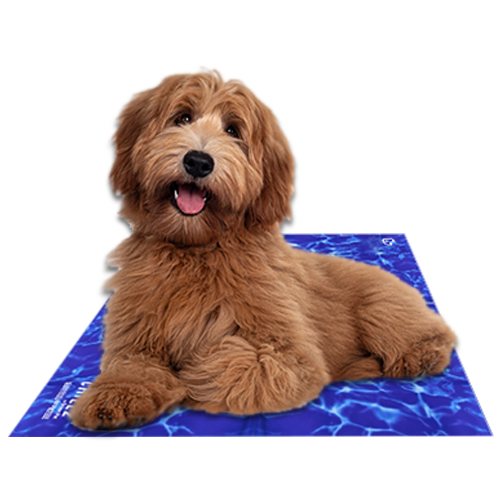 The Green Pet Shop - Chillz Gel Mat