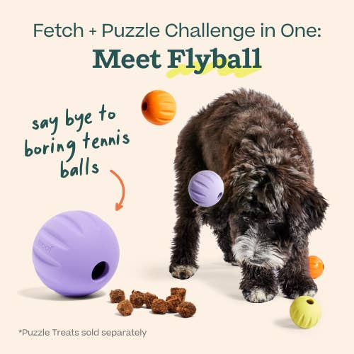 Woof - FlyBall 3 Pack