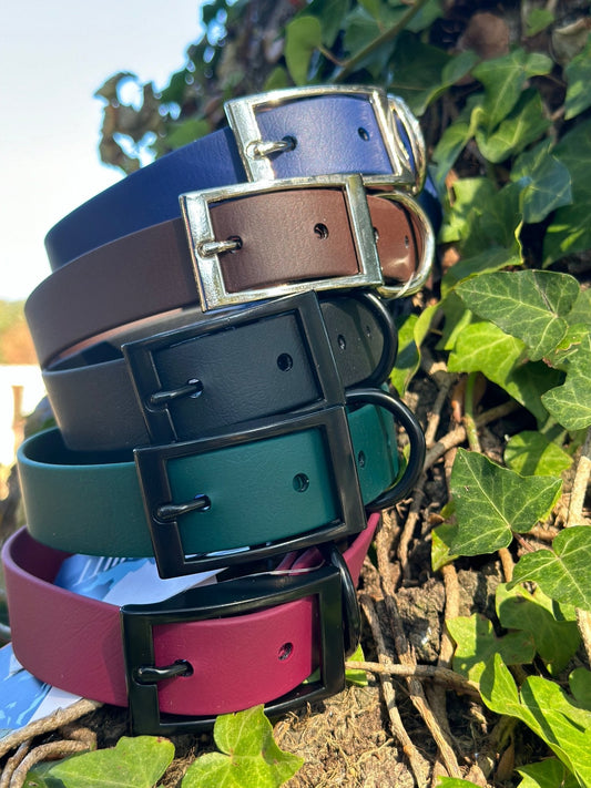 3/4" BioThane® Flat Dog Collar | Waterproof & Odor-Proof Adventure Collar *