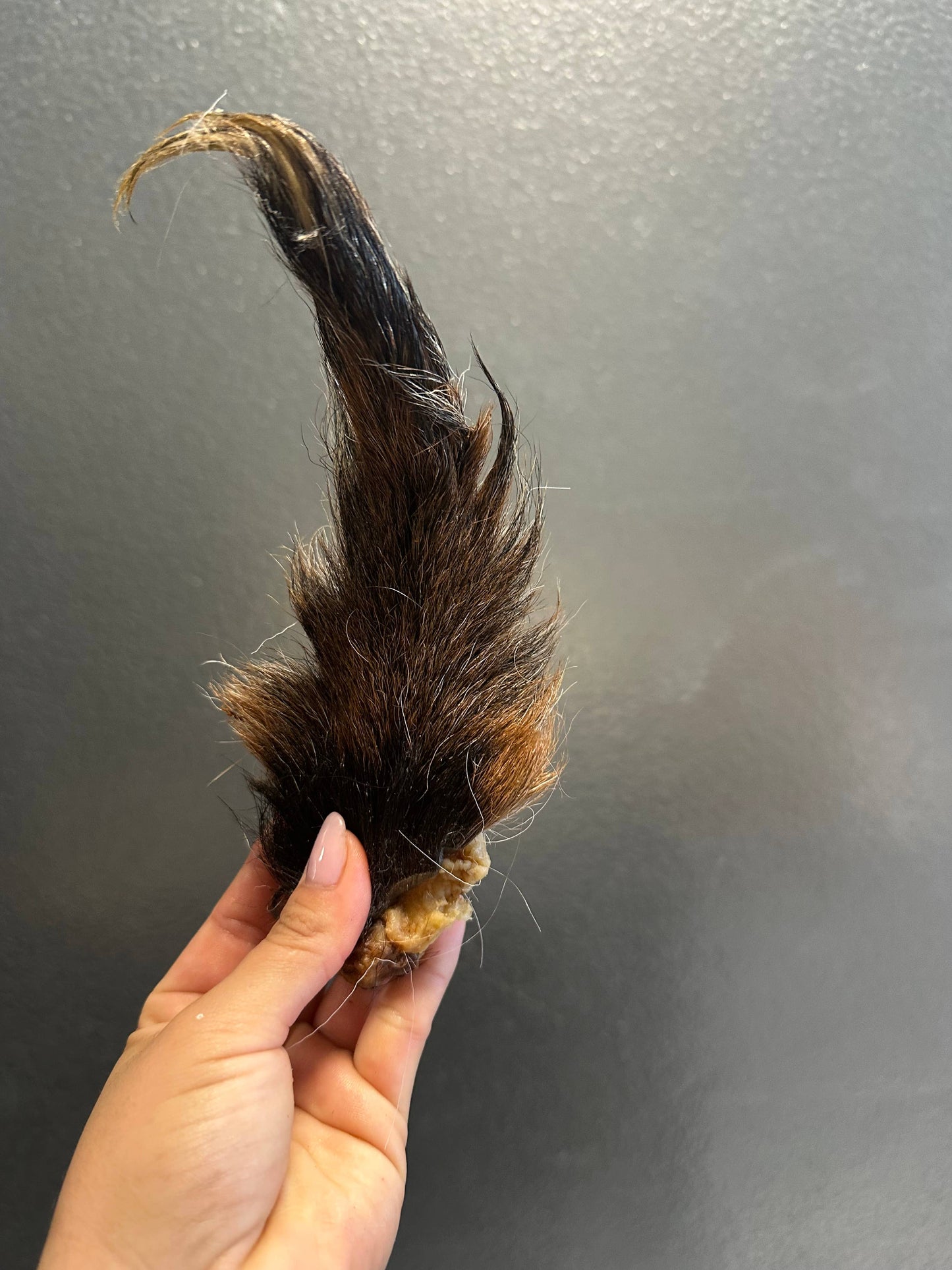 Doot's Chew Bar - Goat Tail 